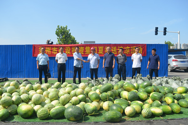 MK体育在线登录开展夏日送清凉活动